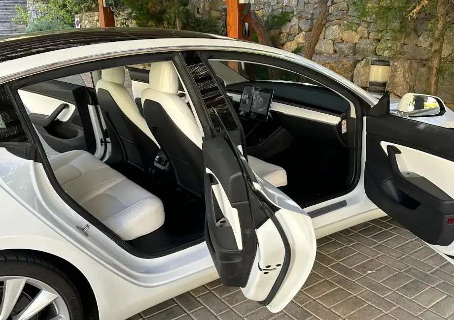 Tesla Model 3 Performance AWD Image 6