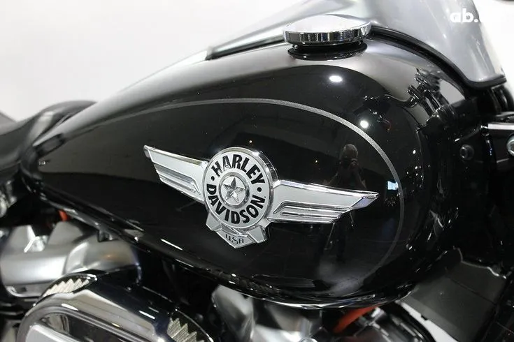 Harley-Davidson FLFBS  Image 9